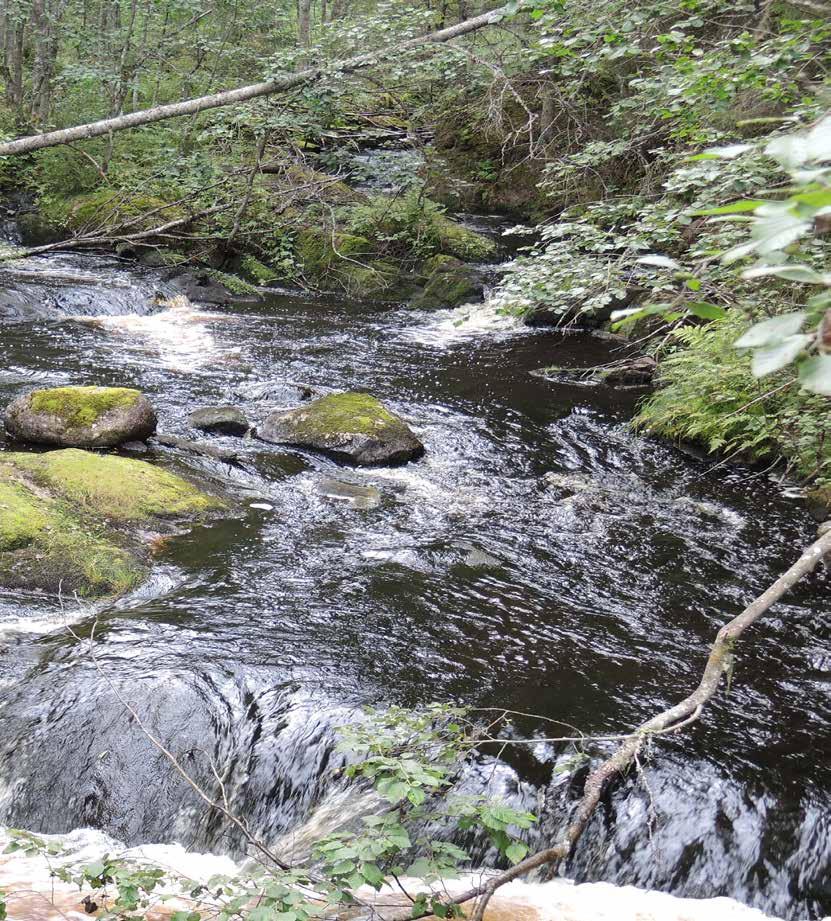 JOHDANTO Korkeakosken maisemanhoitosuunnitelma on toteutettu osana Juupajoen kunnan Kylät kartalle hanketta. Tätä hanketta rahoittaa Leader toimintaryhmä PoKo ry.
