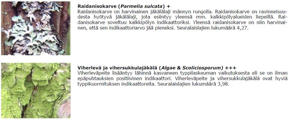 12 Kullakin mäntyhavaintoalalla toteutettiin männyn rungoilla esiintyvien 12 jäkälälajin kartoitus standardin SFS 5670 mukaisesti elokuussa ja elo-syyskuun 2017 vaihteessa.