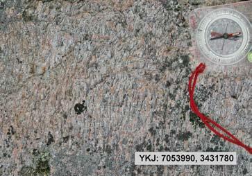 Kuva 6. Voimakas lineaatio Elämäjärven hiertovyöhykkeessä. Protoliitti on tasarakeinen graniitti. Vaakaleike.