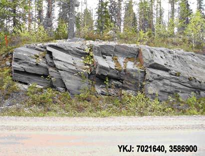 Figure 7. Strong lineation south of the Elämäjärvi shear zone. The protholith is granodiorite. Photo: Markku Kilpelä.