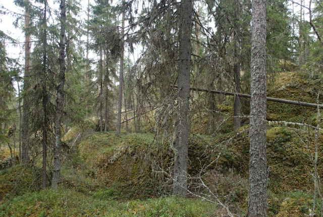 FCG SUUNNITTELU JA TEKNIIKKA OY Natura-tarvearviointi 12 (17) 7 HAKOVUORI - KOLJATTI (FI0900120) 7.