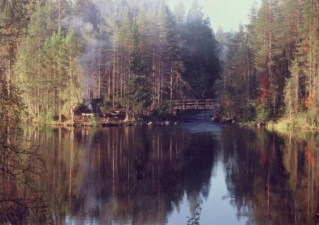 TILINPÄÄTÖS vuodelta 2017
