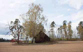 217. Kyläalue.