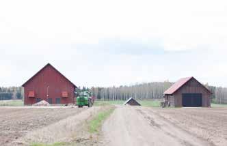 metsäsaarekkeessa.