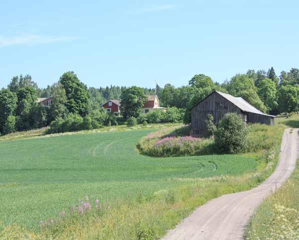 Övre-Gummi on toinen puolisko 1740-luvulla jaetusta Gummin kantatilasta.