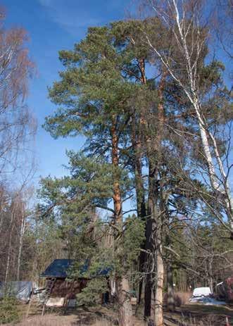 Tilan päärakennuksen iästä ei ole tarkkaa tietoa, mutta sen vanhin osa lienee 1800-luvun puolimaista.