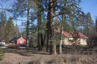 kamariksi.