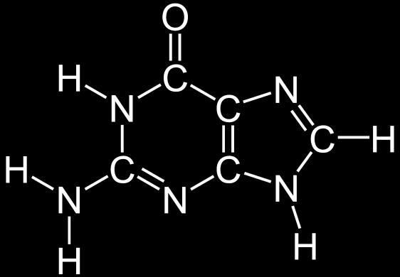 Lipidit eli rasva-aineet (C, O ja H).