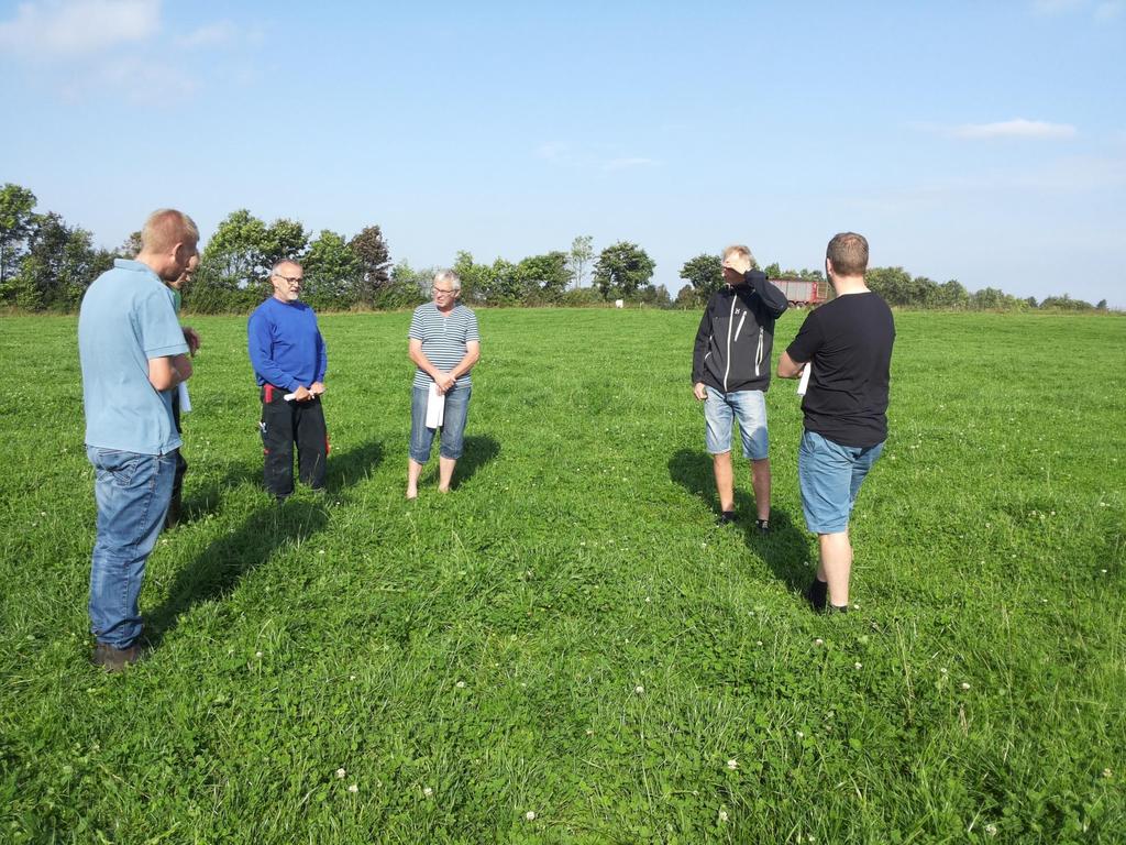 Elitegrazing Tavoite: Lisätä laidunruohon syöntiä Lisätä