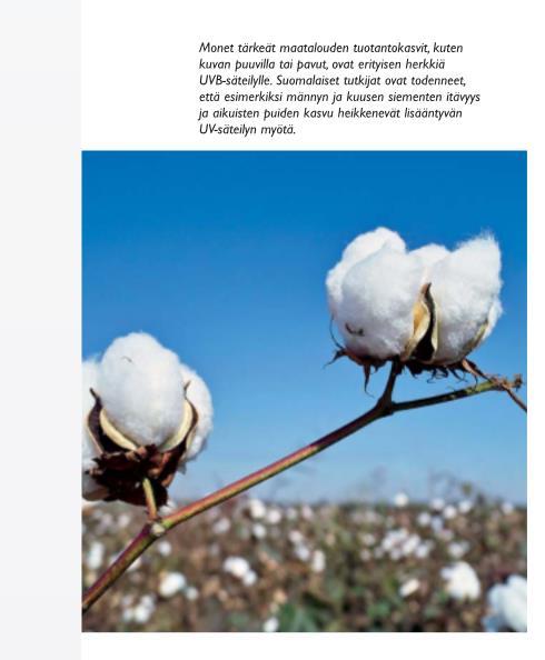 BIOS 3 jakso 3 Otsonikerroksen suojelussa on edistytty merkittävästi Vuonna 1987 laadittiin Montrealin sopimus, jonka hyväksyivät kaikki valtiot.