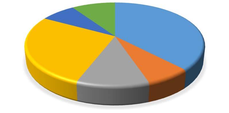 1, WELLAMO 13.2.2018 15:00 / Liite: Liite 1: Netto-opiskelijat pääasiallisen toiminnan mukaan kalenterivuonna 2016 ja 2017.