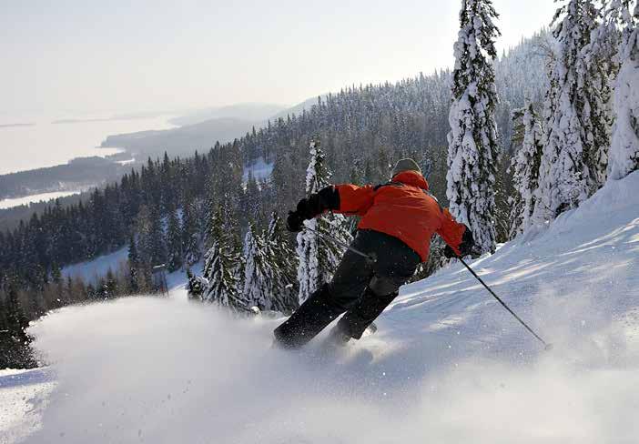 asiakkaiden tarpeisiin. Eri liikennöitsijöitten kanssa tehtiin yhteistyötä, samoin kuin hotellinkin.