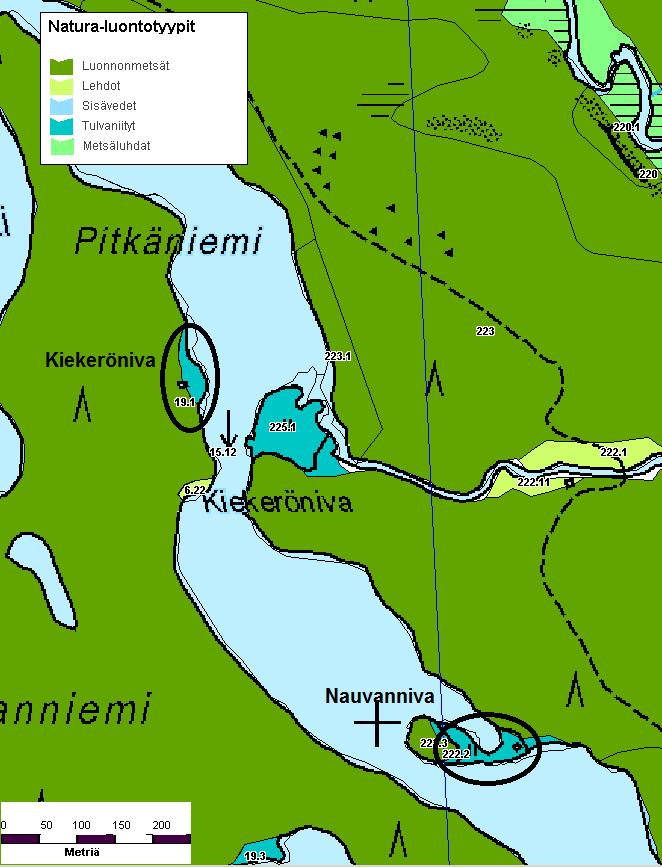 Juhtipuron tulvaniittyjen ympäristöissä ja