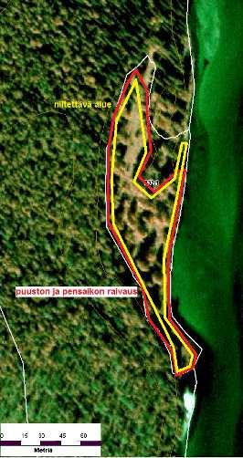 LIITE 13. Horsmamutka SW tulvaniityn suunnitellut hoitotoimenpiteet (vasen kuva).