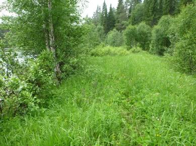 Näkymä kuvion NE-osasta kohti SW. Kuva 4.