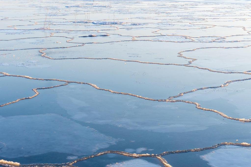 Mitä on vastuullinen perhehoito omassa