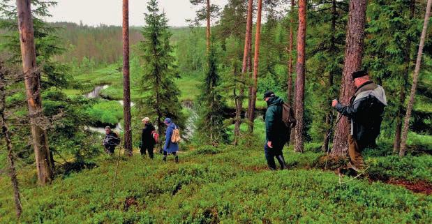 MMM:n tukemassa Pure Peruna-hankkeessa järjestettiin kaksi infotapahtumaa. Kainuun Prikaatin Sotilaskodissa esittelypiste oli 14.3. ja tavoitti 70 hlöä. 28.3. esittelypiste opiskelijaravintola Foxissa tavoitti 65 hlöä.