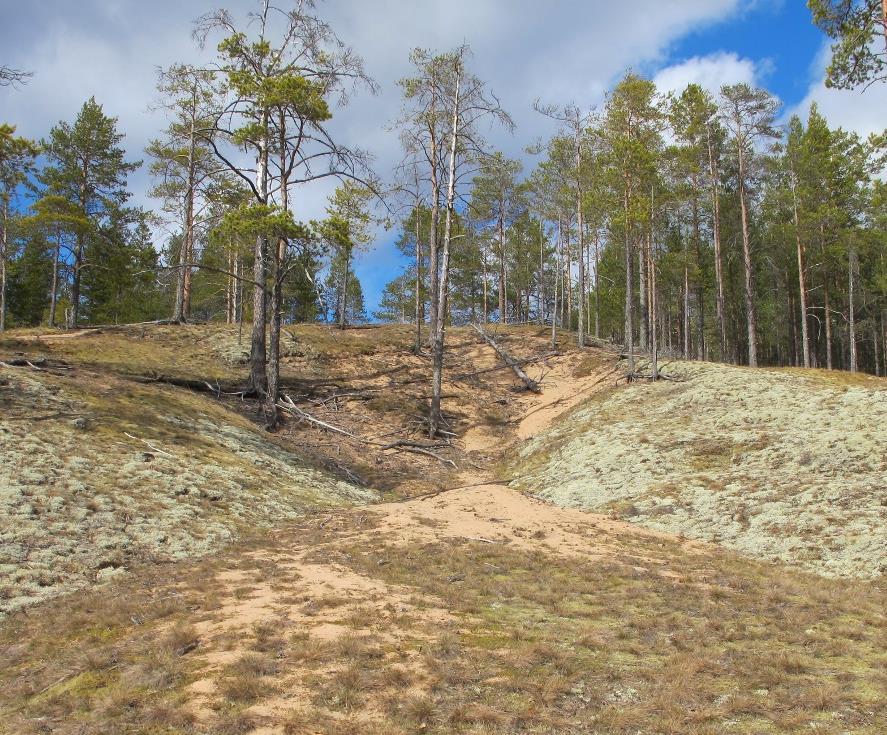 Vesieroosio Kokeella on tarkoitus havainnollistaa veden kulutustyötä hiekkaisessa maaperässä. - Laakea astia, suositellut mitat: leveys min 30cm, pituus min 50cm, korkeus n.