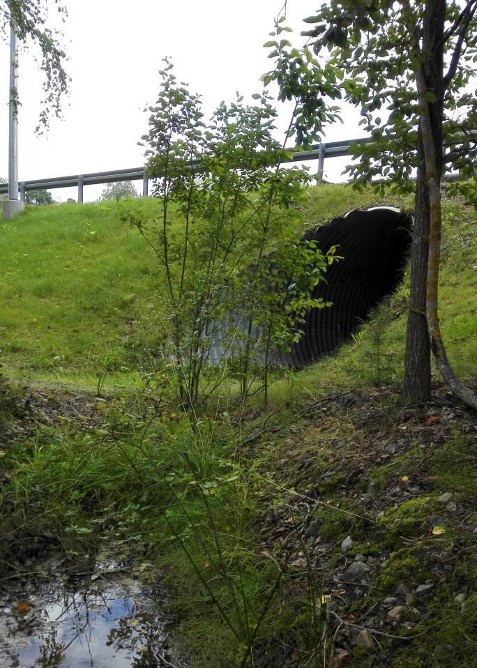 ja pitkiksi. Lepolan poikki Tuusulanjärvelle kulkevaa ekologista yhteyttä on tuettu Poikkitien alittavalla alikululla, joka mahdollistaa ihmisten ja eläinten liikkumisen.