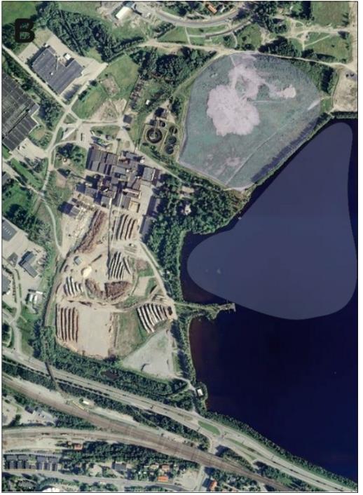 Kiinnostavia biomassalähteitä: Hiedanrannan nollakuitu Selluntuotannon jätevesien mukana Näsijärveen kulkeutunutta