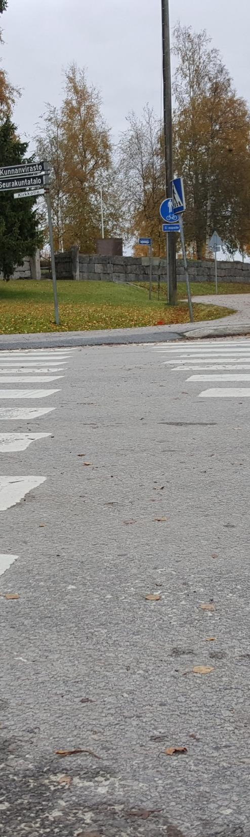 Päätelmät Jalasjärven esteettömyysongelmat koskevat pääasiassa palvelujen sisäänkäyntejä, suojateitä sekä jalankulkuja pyöräilyväylien fyysisen erottelun puutetta kiinteistöjen rajoilla.