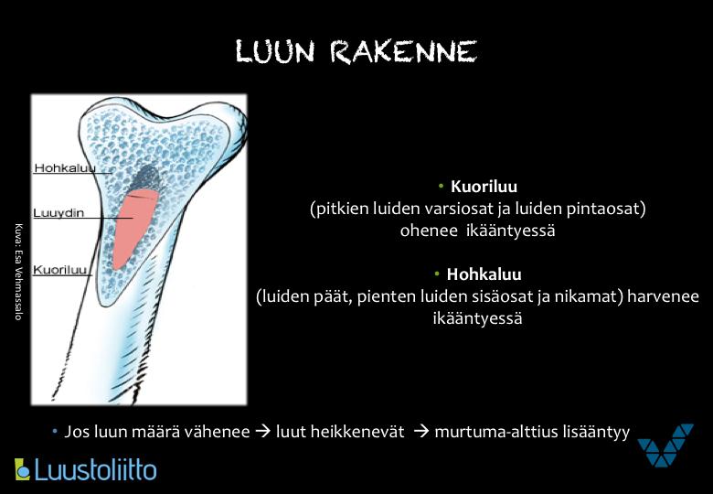 Luukudoksen rakenne vaihtelee luuston eri osissa. Pitkien luiden varsiosat ja luiden pintaosat ovat kuoriluuta.