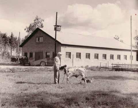 Myös tuotannonohjaukseen linkitetty myynnin ohjelmisto päivitettiin ja henkilökuntaa palkattiin lisää.