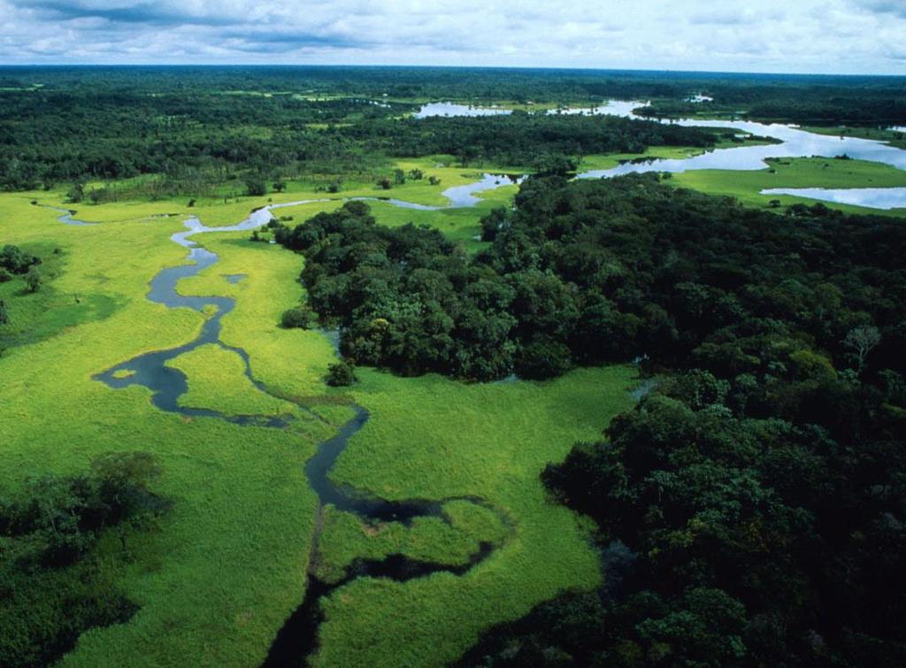 WWF Canon Michel Roggo Ympäristökasvatus Luontokasvatusta ja kierrätystä vai