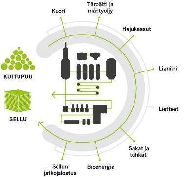 Biotuotekonsepti sivuvirrat hyödynnetään 100 %:sti * Perinteisiä biotuotteita Jo toteutuneet uudet tuotteet * * * Uusia biopolttoaineita kuoresta ja metsähakkeesta Tuotekaasua kuoresta ja lietteestä