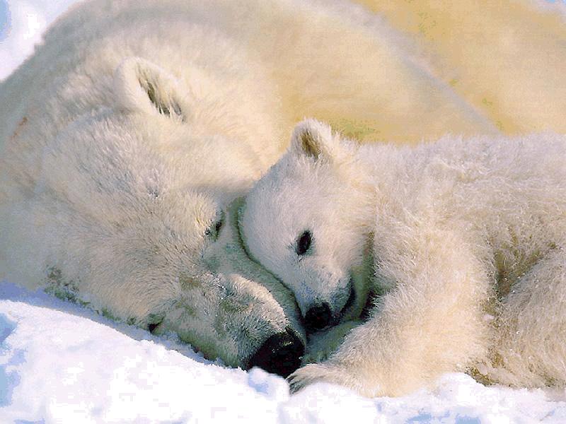 Organisaatio Työryhmät Työ tehdään työryhmissä, jotka voivat tarvittaessa jakaantua alaryhmiin Ohjausryhmä Toimii