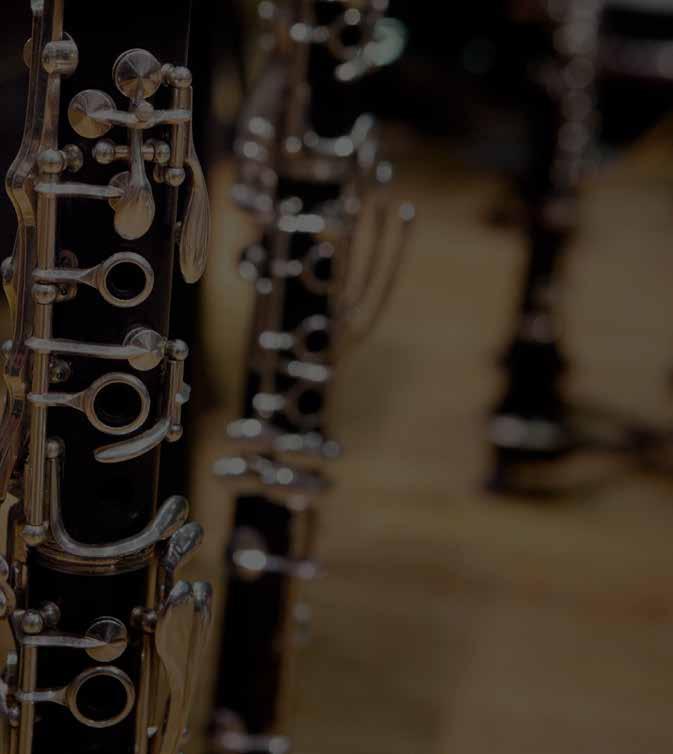 Joensuun kaupungin- ORKESTERI MUSIIKIN JUHLAA JA SEIKKAILUN MAKUA Joensuun kaupunginorkesteri Syyskaudella 2018 juhlitaan musiikilla.