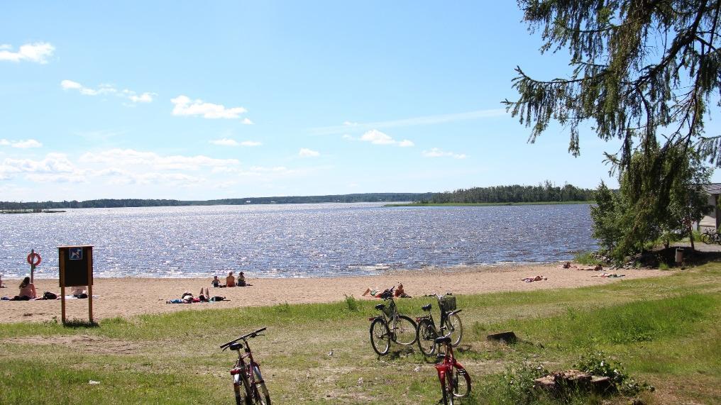 6 YLÄKÄSITTEET KOORDINOINTI JA TIETO Toimintamallissa keskityttiin juurisyyanalyysin yläkäsitteeseen koordinointi mallin luominen kokemustoimintaan