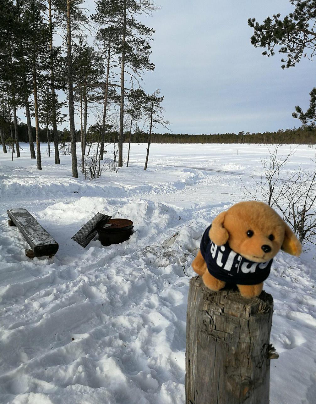 Sivu 2 KOKOUSKUTSU HAILUODON JAKOKUNNAN RN: o 72 878 7 1 osakkaat kutsutaan sääntömääräiseen osakaskunnan kokoukseen, joka pidetään Hailuodon kunnanviraston Luotosalissa TORSTAINA 12.4.2018 klo 14.00.