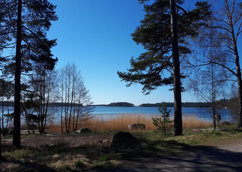Kuva: Näkymä Porvariskuninkaanpuiston rannasta. 13.