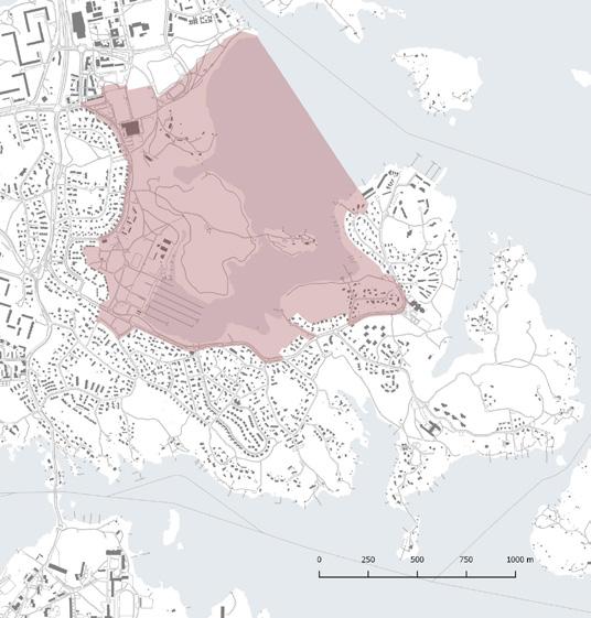 rakennusten korttelialueiksi ja virkistysalueiksi. Puuskaniemen kärjessä pieni osa alueesta on edelleen asemakaavoittamaton.