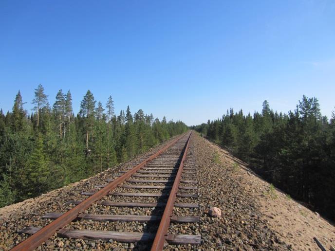 31 / 36 purot halkovat. Paikoitellen melko laajat hakkuut pirstovat metsämaisemaa entisestään.