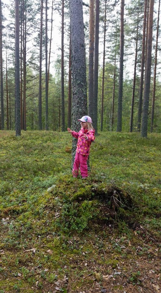 Tavoitteet Selvittää metsiin ja vesistöihin liittyviä uusia liiketoimintamahdollisuuksia ja tuottaa synteesitietoa teemaan liittyen.