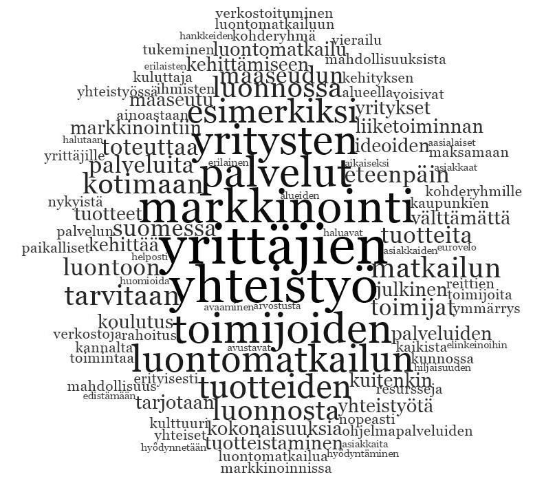 Mitä tehtiin Kirjallisuuskatsaus Näkökulmia kentältä: Neljä työpajaa eri puolilla Suomea Kysely Osallistujat ja