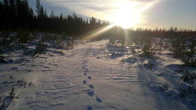 matkailualueiden profiloitumista ja toimialojen välistä yhteistyötä.