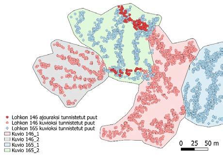 Viimeistely ajourien huomiointi ja lopullinen kuviointi Hakkuukoneaineiston toimenpidekuvio = aluerajaus ja kuviolta hakatut puut Viimeistelyn lähtötiedot: Ajouraksi tunnistetut puut algoritmista I