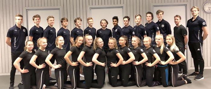 as a mixed team constellation.