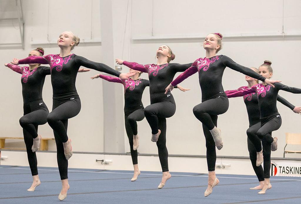 12 Local organisers paikalliset järjestäjät The local organising clubs offer a variety of possibilities for over 1000 eager gymnasts of all ages from toddlers to elderly.
