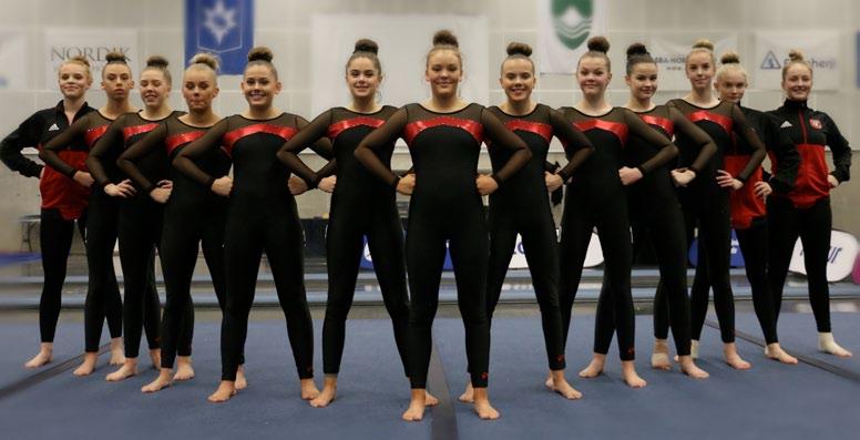 8 teams iceland Girls Gerpla team has been training and competing together for the last two years, but the team