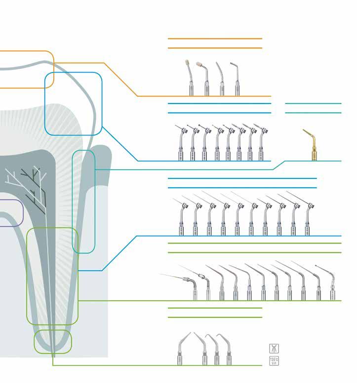 Protetiikka V-kärki (restauraatiot) Hampaan poisto V-kärki (endodontia) Endodontia Retrogradinen endodontia Voidaan puhdistaa lämpödesinfektorissa. Voidaan autoklavoida max 135 0 C.