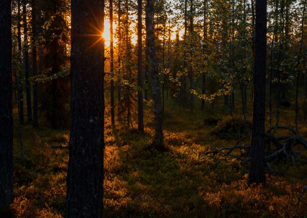 Miksi? Matkailu n kasvava, glbaali tellisuudenala, jnka psitiiviset vaikutukset tunnistetaan.