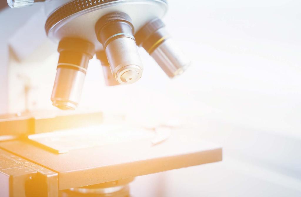Biohitin strategia 2022 Strategiset linjauksemme Yksinkertaistamme ja tehostamme toimintaamme pitkäjänteisesti. Huomioimme aina asiakashyödyn.