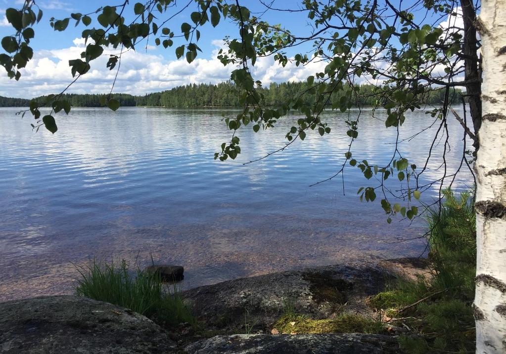 -9.9.2018 Hyvinvoinnin