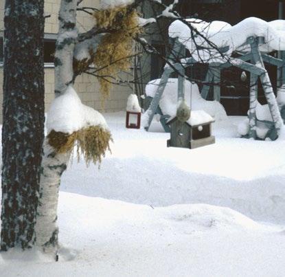 Verhot ja tekstiilit auttavat vähentämään niitä.