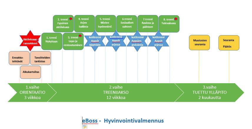 Valmennusprosessi 6 kk, kolmivaiheinen, valmentajaperustainen, erilaisia toteutusmuotoja 12 valmennusryhmää Lähtötilanteen kartoitus, motivaation vahvistaminen, tavoitteen laadinta,