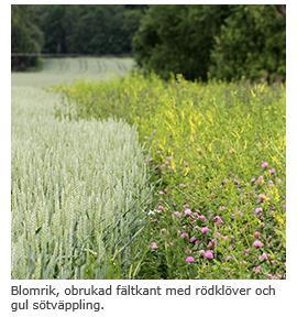 http://www.jordbruksverket.